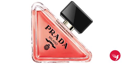 paradoxe intense - prada|prada paradoxes intense customer reviews.